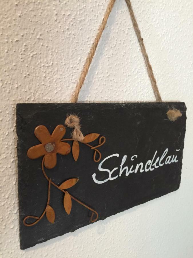 Das Alte Forsthaus Spiegelhuette Lindberg Luaran gambar